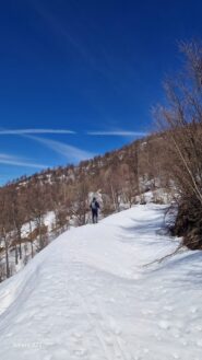stradina verso N