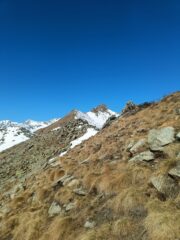 Versante sud libero dalla neve