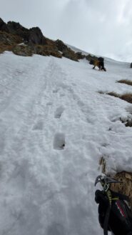 canale (condizioni ottime)