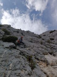 Calu sul primo tiro