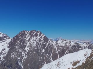 matto.. cougne' al limite, royal express infattibile