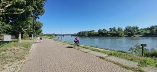 Rientro a Cremona