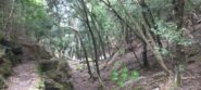 Scendendo verso S. Fruttuoso