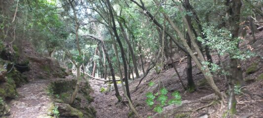 Scendendo verso S. Fruttuoso