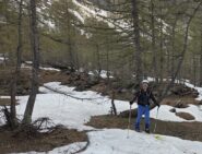 Ultime lingue di neve