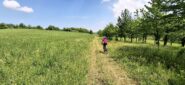 Verso Cuccaro