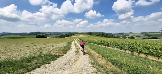 Verso Vignale