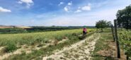 Lunghi tratti panoramici oltre Altavilla