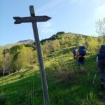 la palina all'uscita dal bosco 