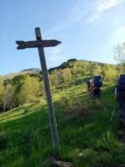 la palina all'uscita dal bosco 