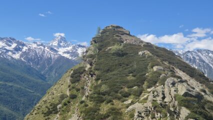 Gran Guglia vicina