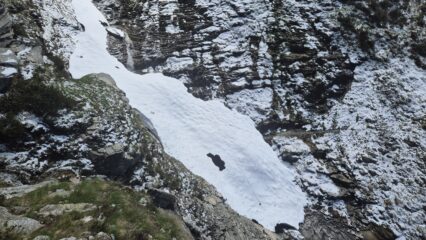 Nevaio dopo la Gran Guglia da attraversare