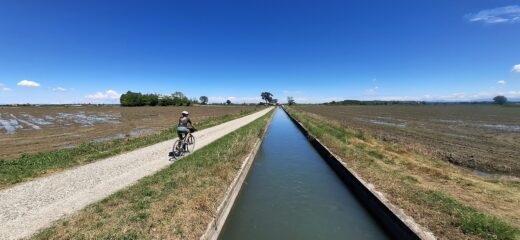 Tratto lungo il canale