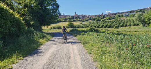 Breve ma dura salita verso Lu a fine giro