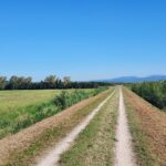 Maremma