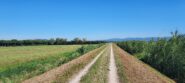 Maremma