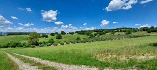 Verso Castiglione d'Orcia
