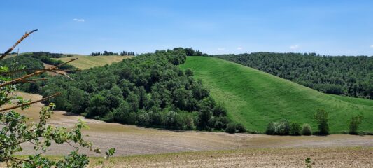 Deep Tuscany 2