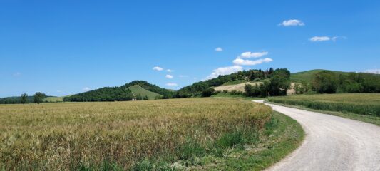 Strade bianche verso Siena