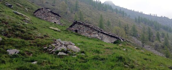 Alpe Vasuera inf.