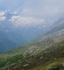 Sopra l'Alpe Vasuera sup.