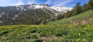Vista dall'Alpe Bruns