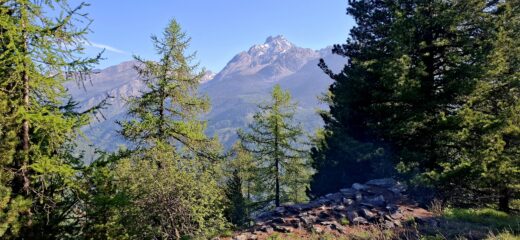 Begli scorci sul Monviso