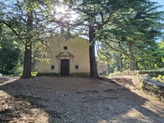 San Cerbone