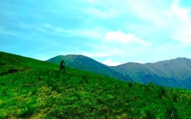 Verde dominante