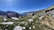 alpe dorca