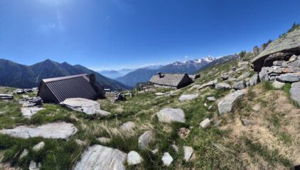 alpe dorca