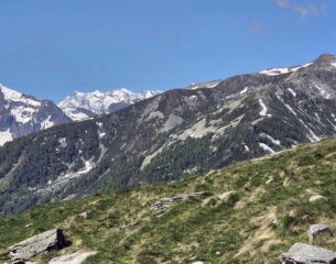 monte rosa