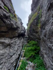 Camino del quinto tiro