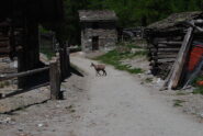 Un incontro a Valmianaz