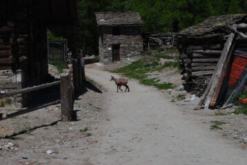 Un incontro a Valmianaz
