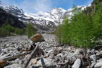 L’ambiente in cui si risale alla ricerca del sentiero per i Casolari dell’Herbetet