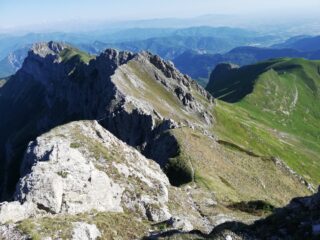 Cresta