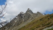 Contrafforti del Ruvic