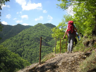 quasi arrivati