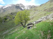 l'alpeggio Crevlira