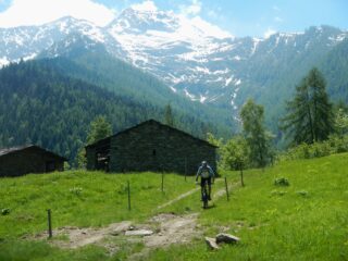 bella radura panoramica 