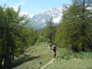 la dorsale tra il Monte Cotolivier e le Case Pourachet
