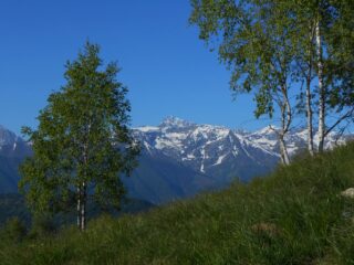 Aspetti delle Marittime: Monte Matto