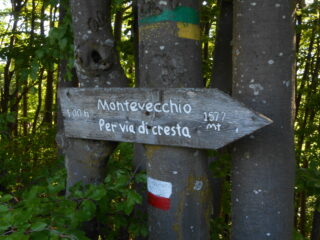 La via è questa