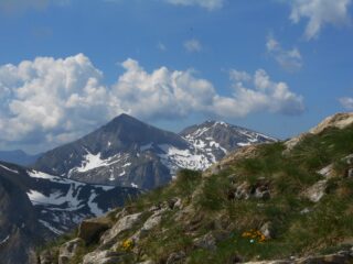 Cima delle Saline