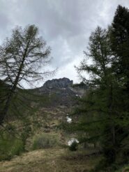 Testa dell' Orso dal bivacco.