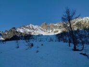 oplus_0