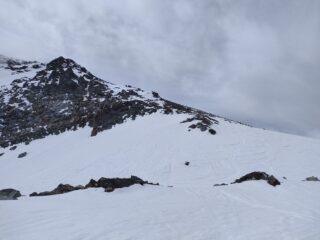 Vicino alla buccia d'arancia 