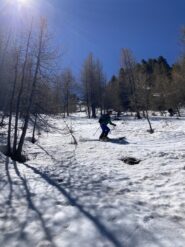 Lenzuolo nel bosco fino al torrente 