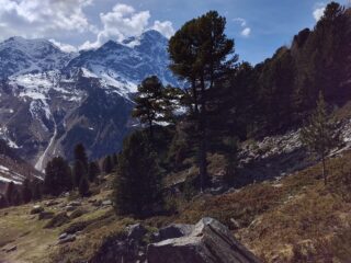 La vista sull'Ortles caratterizza tutta la gita